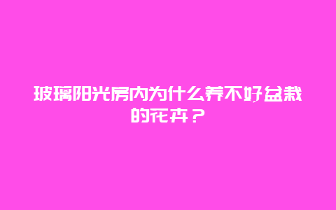 玻璃阳光房内为什么养不好盆栽的花卉？