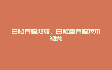 白鲢养殖池塘，白鲢鱼养殖技术视频