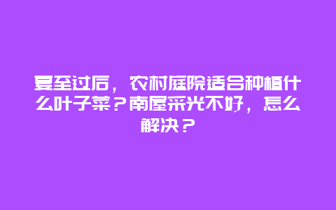 夏至过后，农村庭院适合种植什么叶子菜？南屋采光不好，怎么解决？