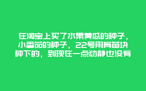 在淘宝上买了水果黄瓜的种子，小番茄的种子，22号用育苗块种下的，到现在一点动静也没有