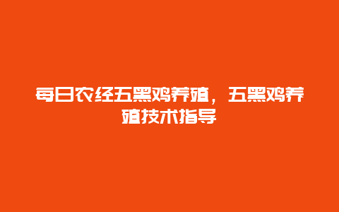 每日农经五黑鸡养殖，五黑鸡养殖技术指导