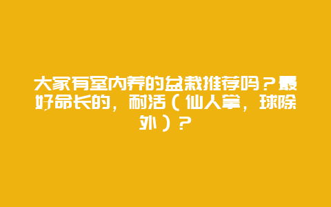 大家有室内养的盆栽推荐吗？最好命长的，耐活（仙人掌，球除外）？