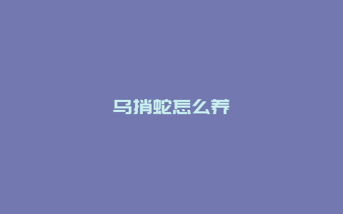 乌捎蛇怎么养