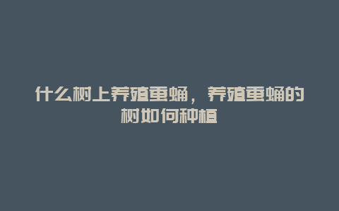 什么树上养殖蚕蛹，养殖蚕蛹的树如何种植