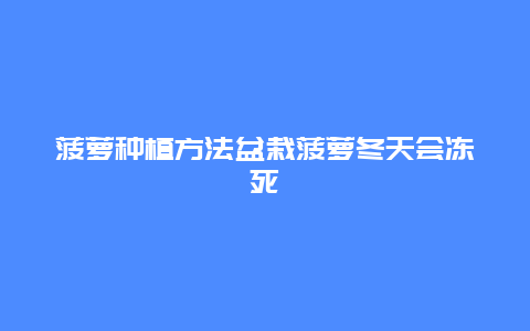 菠萝种植方法盆栽菠萝冬天会冻死