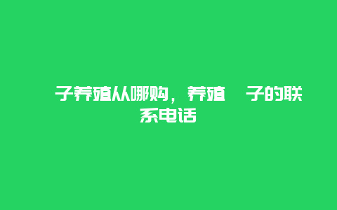 獾子养殖从哪购，养殖獾子的联系电话