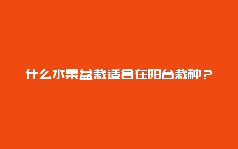 什么水果盆栽适合在阳台栽种？