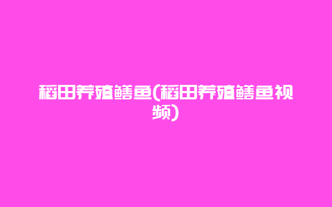 稻田养殖鳝鱼(稻田养殖鳝鱼视频)