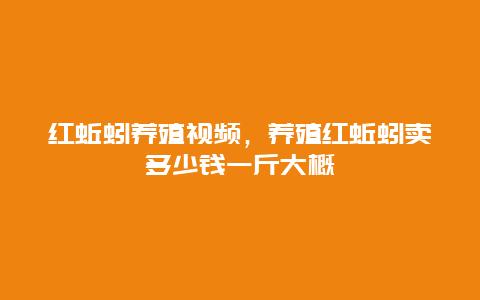 红蚯蚓养殖视频，养殖红蚯蚓卖多少钱一斤大概