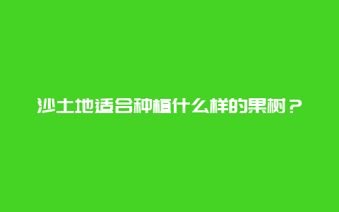 沙土地适合种植什么样的果树？