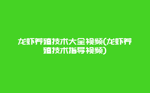 龙虾养殖技术大全视频(龙虾养殖技术指导视频)