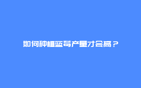 如何种植蓝莓产量才会高？