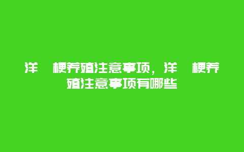 洋桔梗养殖注意事项，洋桔梗养殖注意事项有哪些