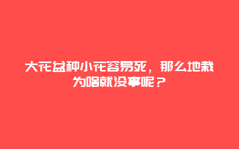 大花盆种小花容易死，那么地栽为啥就没事呢？