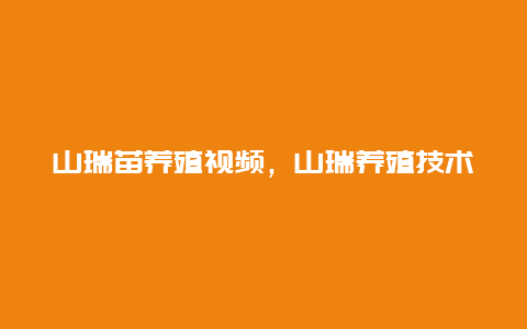 山瑞苗养殖视频，山瑞养殖技术