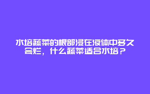 水培蔬菜的根部浸在液体中多久会烂，什么蔬菜适合水培？