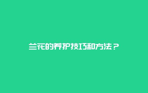 兰花的养护技巧和方法？