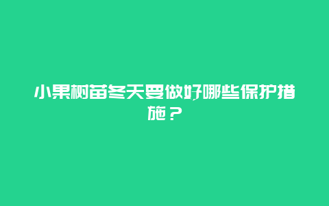 小果树苗冬天要做好哪些保护措施？