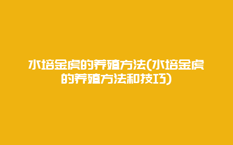 水培金虎的养殖方法(水培金虎的养殖方法和技巧)