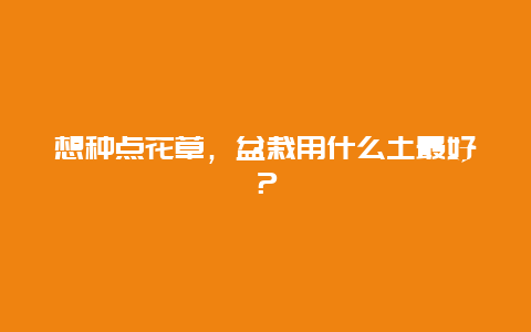 想种点花草，盆栽用什么土最好？