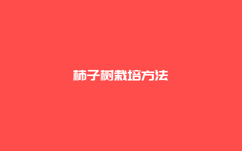 柿子树栽培方法