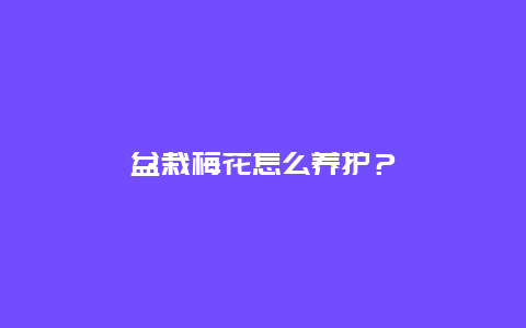 盆栽梅花怎么养护？