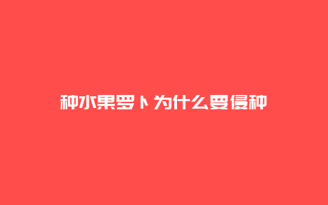 种水果罗卜为什么要侵种