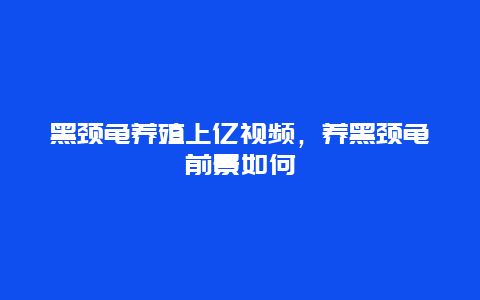 黑颈龟养殖上亿视频，养黑颈龟前景如何