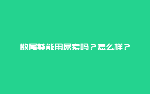 散尾葵能用尿素吗？怎么样？