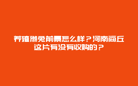 养殖獭兔前景怎么样？河南商丘这片有没有收购的？