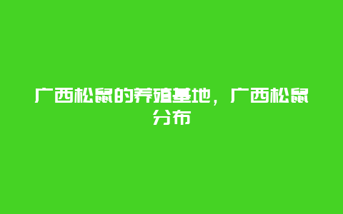 广西松鼠的养殖基地，广西松鼠分布