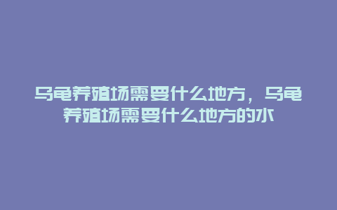 乌龟养殖场需要什么地方，乌龟养殖场需要什么地方的水