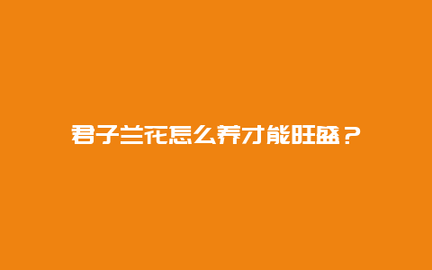 君子兰花怎么养才能旺盛？