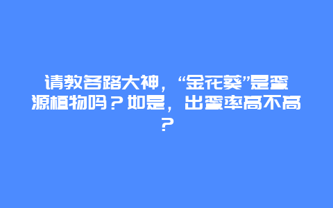 请教各路大神，“金花葵”是蜜源植物吗？如是，出蜜率高不高？