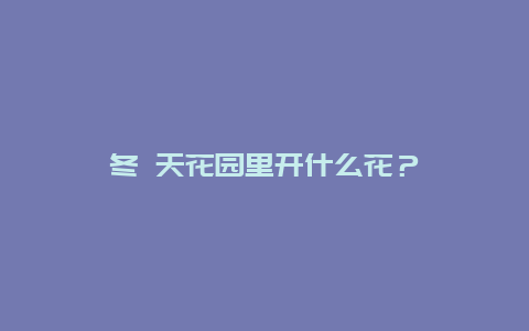 冬 天花园里开什么花？