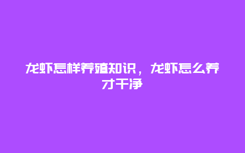 龙虾怎样养殖知识，龙虾怎么养才干净