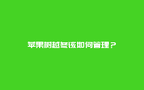 苹果树越冬该如何管理？