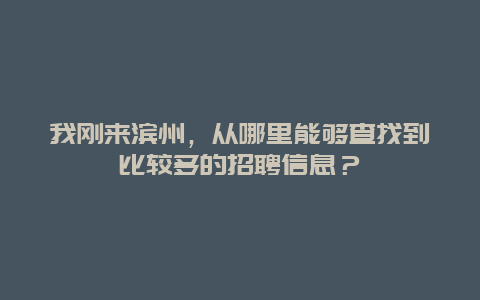 我刚来滨州，从哪里能够查找到比较多的招聘信息？