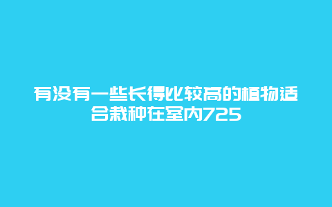 有没有一些长得比较高的植物适合栽种在室内725