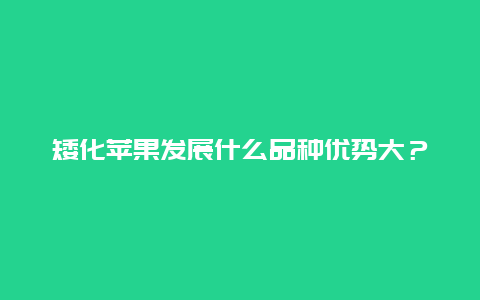 矮化苹果发展什么品种优势大？