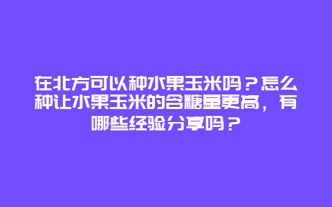 在北方可以种水果玉米吗？怎么种让水果玉米的含糖量更高，有哪些经验分享吗？