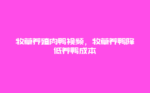 牧草养殖肉鸭视频，牧草养鸭降低养鸭成本