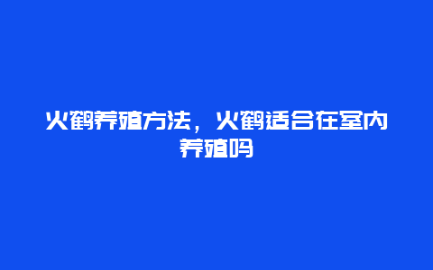 火鹤养殖方法，火鹤适合在室内养殖吗