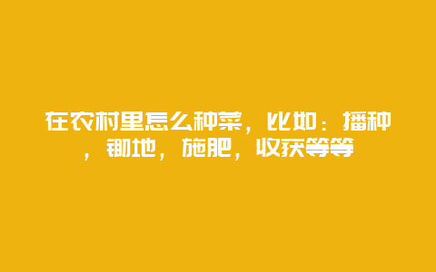 在农村里怎么种菜，比如：播种，锄地，施肥，收获等等