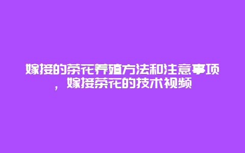 嫁接的茶花养殖方法和注意事项，嫁接茶花的技术视频