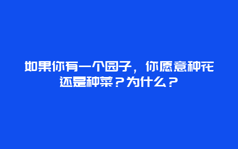 如果你有一个园子，你愿意种花还是种菜？为什么？