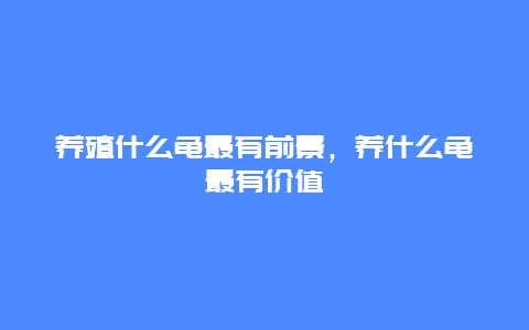 养殖什么龟最有前景，养什么龟最有价值