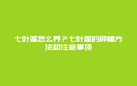 七叶莲怎么养？七叶莲的种植方法和注意事项