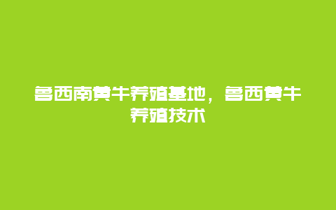 鲁西南黄牛养殖基地，鲁西黄牛养殖技术