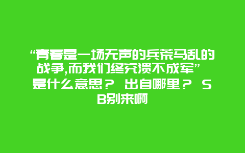 “青春是一场无声的兵荒马乱的战争,而我们终究溃不成军” 是什么意思？ 出自哪里？ SB别来啊